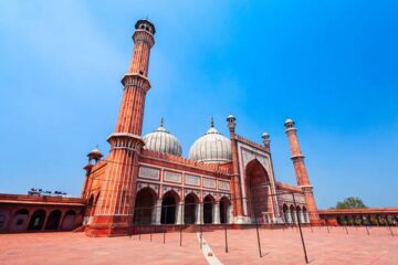 Old and New Delhi Private Guided Tour – 8 Hours
